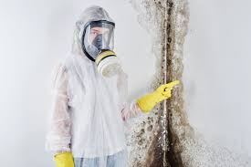 Biohazard Mold Removal in Harkers Island, NC